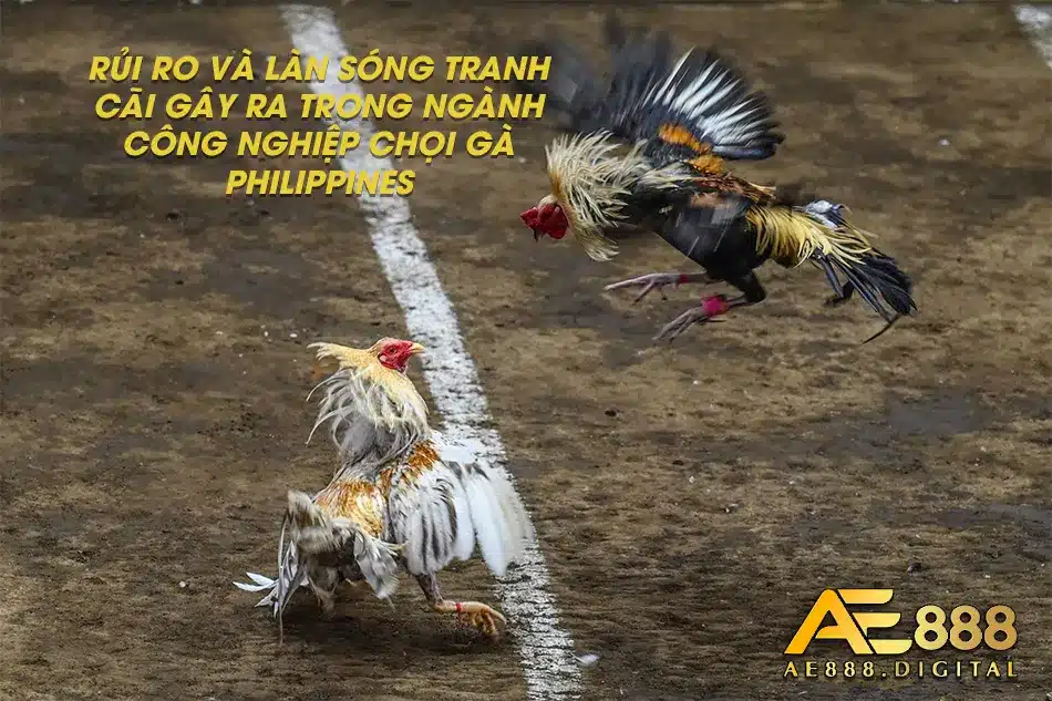 Làn sóng tranh cãi gây ra xung quanh đá gà Philippine