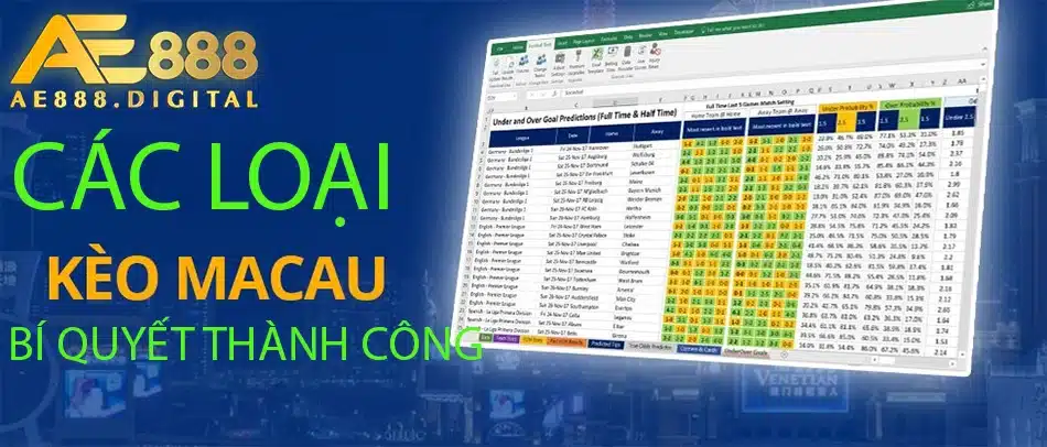 những loại cược ma cau và bí quyết thành công tại ae888