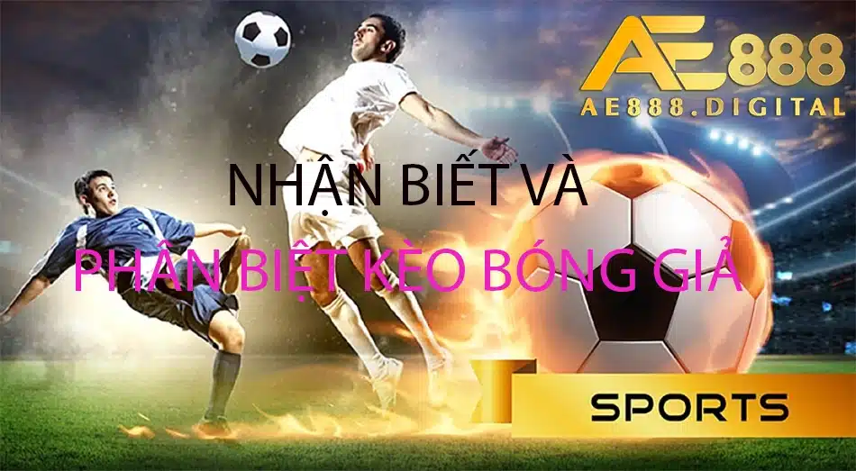 ae888 hướng dẫn cách nhận biết và phân biệt bóng giả