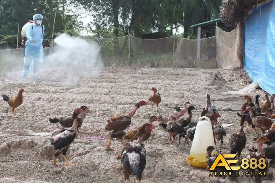 Các cách thức phòng tránh bệnh sưng phù đầu