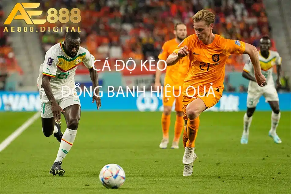 ae888 hướng dẫn cách thức cá độ kèo đồng banh hiệu quả