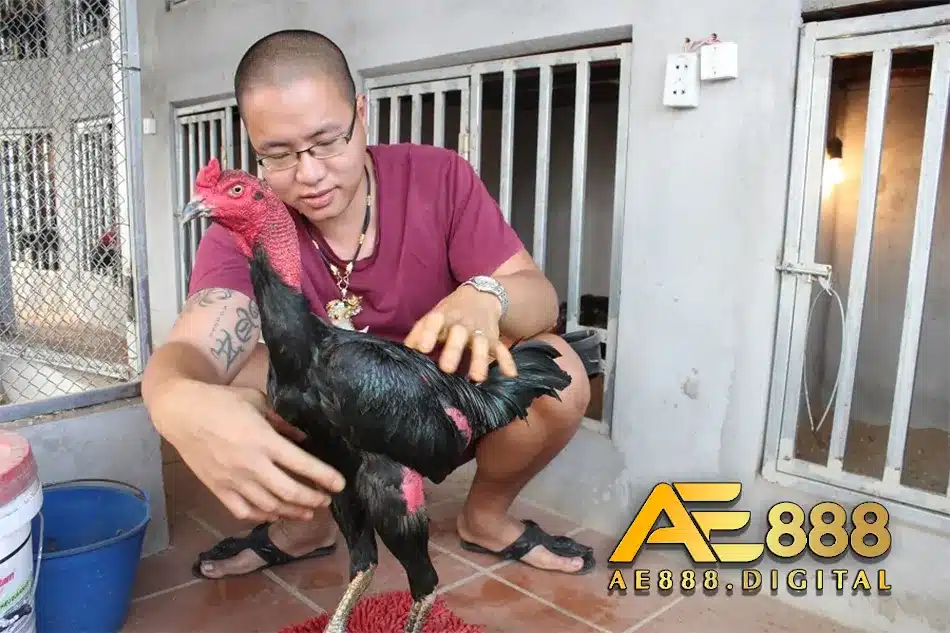 Chuẩn bị nguyên liệu để vào nghệ