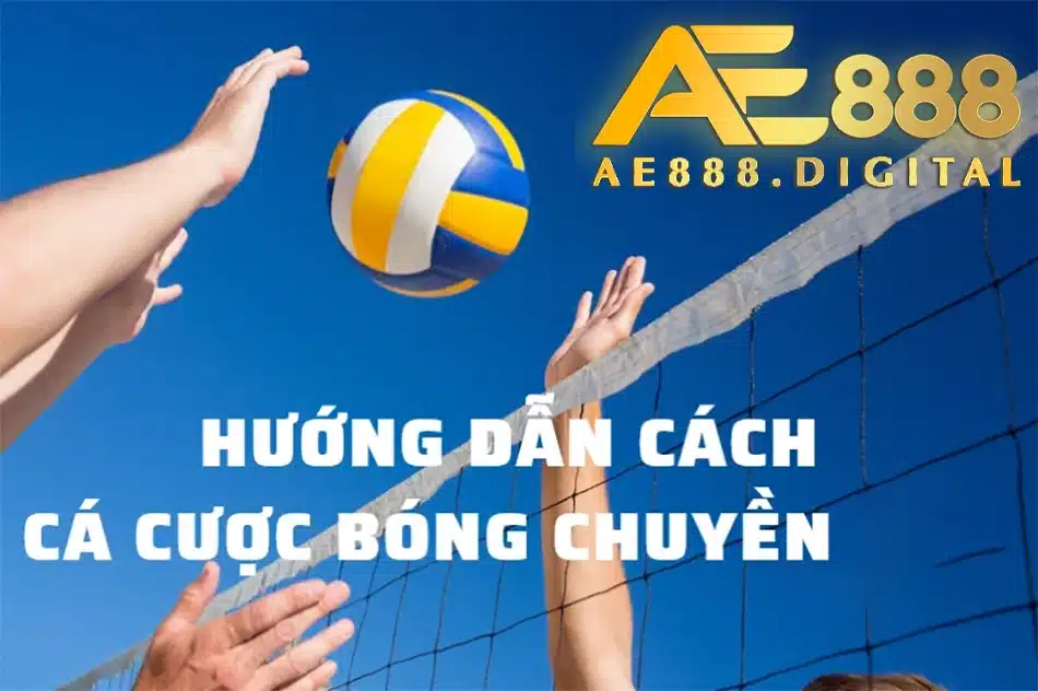 chi tiết cách hướng dẫn cá cược bóng chuyền dành cho người chơi mới tại ae888