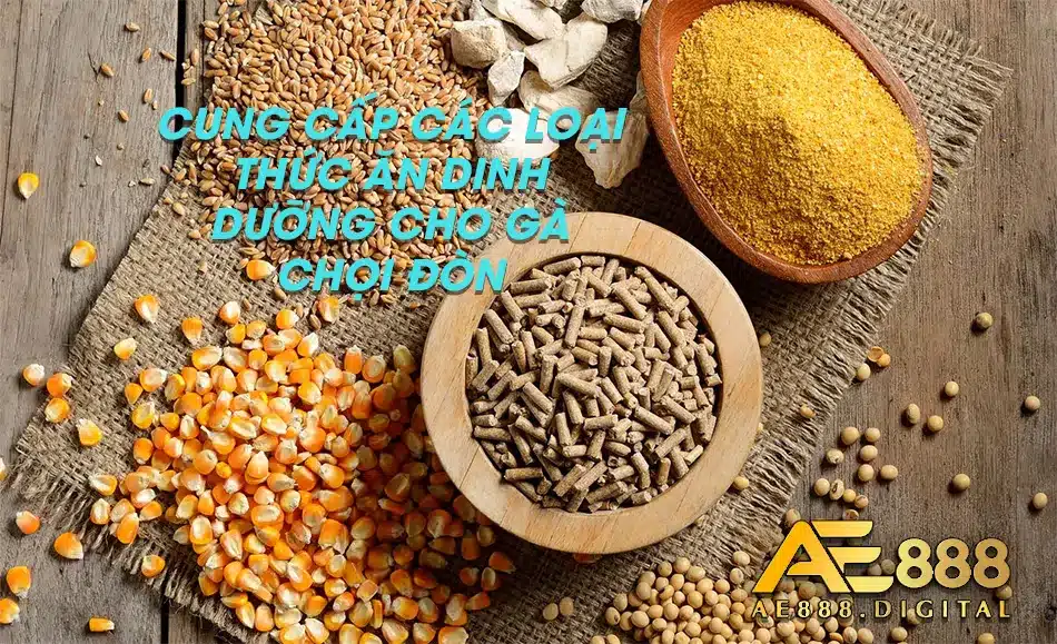 Sử dụng các thức ăn giàu dinh dưỡng 
