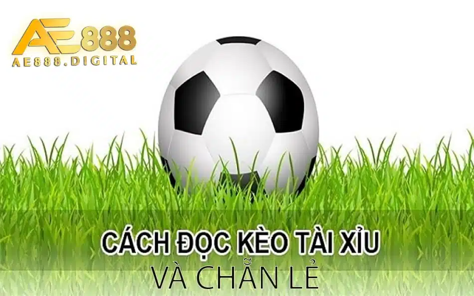 hướng dẫn Đọc tỷ lệ Kèo Tài Xỉu và Chẵn Lẻ ae888