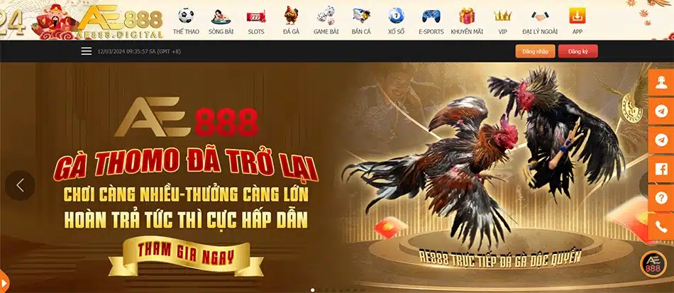 cần Một số lưu ý khi tham gia khuyến mãi AE888: