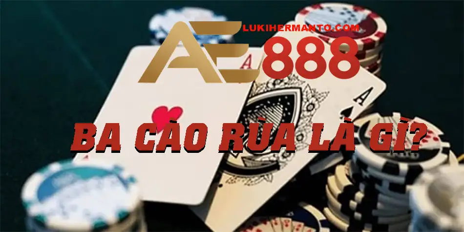 Giới thiệu bài cào Rùa