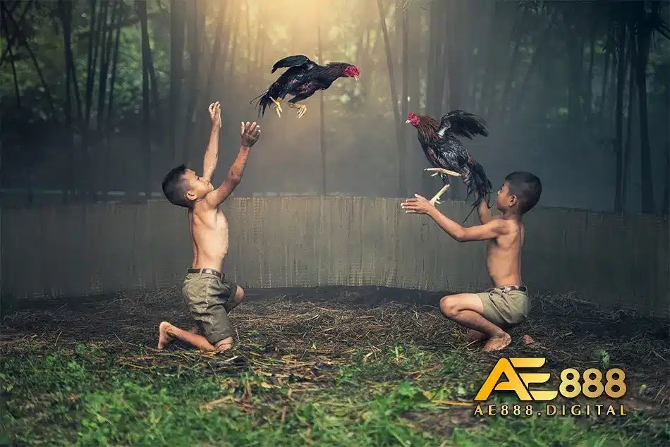 Bí quyết ôm gà và vào nghệ hiệu quả